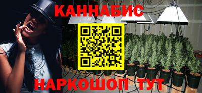 Альфа ПВП Кимры