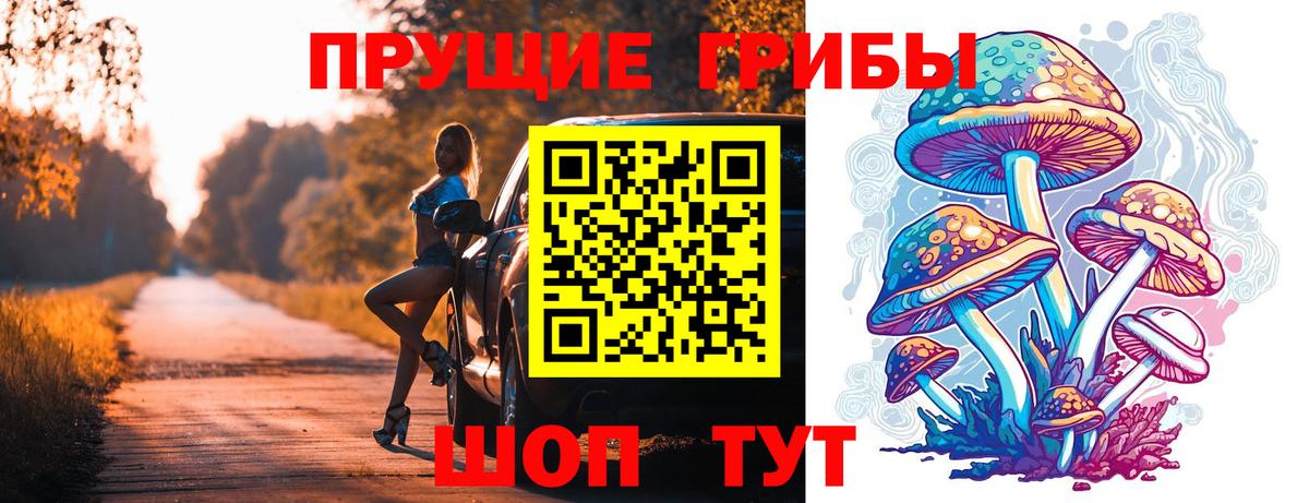 Галлюциногенные грибы Psilocybine cubensis Котовск