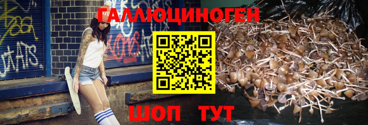 Псилоцибиновые грибы Psilocybine cubensis  Вход с VPN  Котовск  закладки  Галлюциногенные грибы ЛСД 